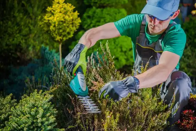 landscaping services Pollock